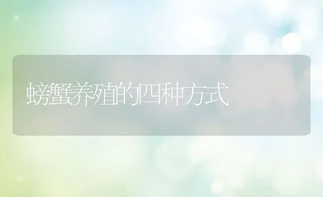 螃蟹养殖的四种方式 | 动物养殖百科