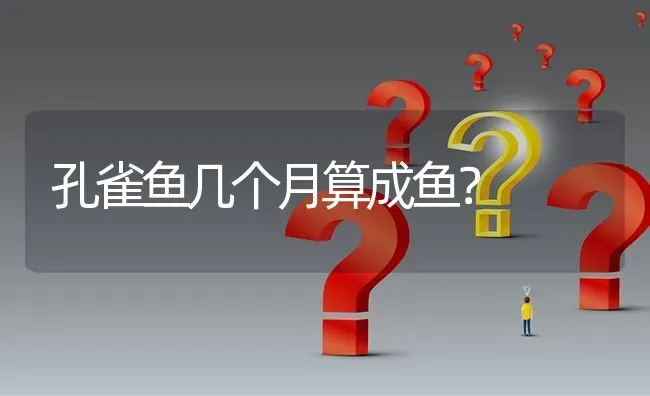 孔雀鱼几个月算成鱼？ | 鱼类宠物饲养