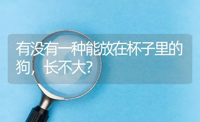 有没有一种能放在杯子里的狗，长不大？ | 动物养殖问答