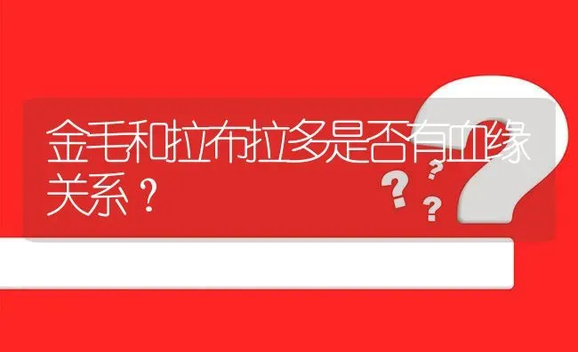 金毛和拉布拉多是否有血缘关系？ | 动物养殖问答