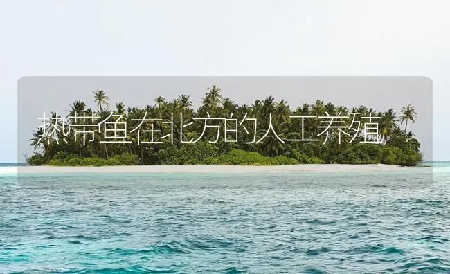 热带鱼在北方的人工养殖 | 海水养殖技术