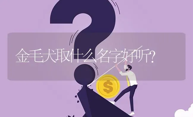 金毛犬取什么名字好听？ | 动物养殖问答