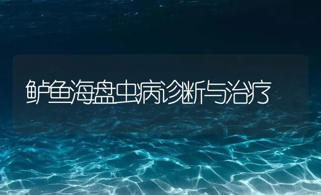 鲈鱼海盘虫病诊断与治疗 | 海水养殖技术