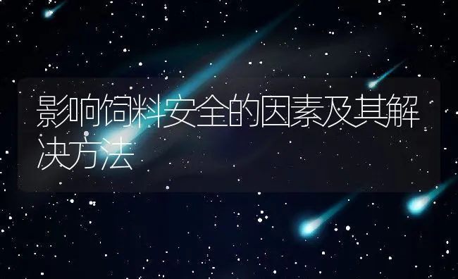 肉兔无公害育肥实用技术 | 动物养殖饲料