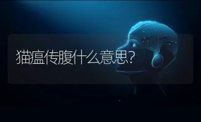 猫瘟传腹什么意思？ | 动物养殖问答