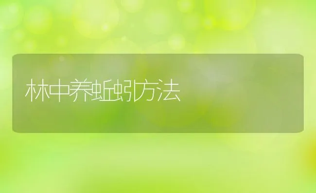 林中养蚯蚓方法 | 水产养殖知识