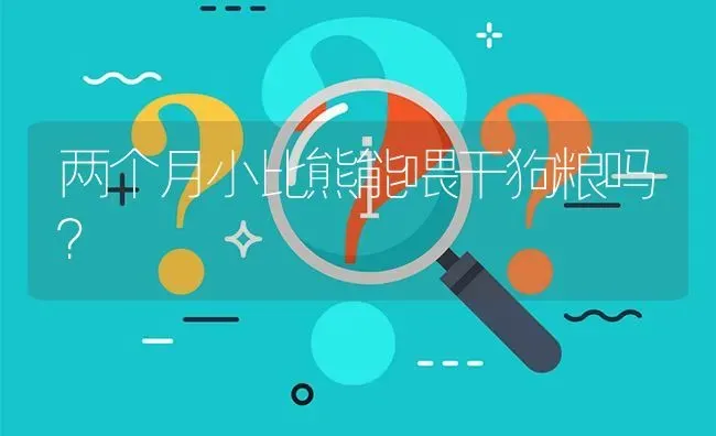 两个月小比熊能喂干狗粮吗？ | 动物养殖问答