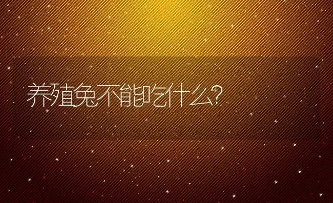 养殖兔不能吃什么？ | 动物养殖百科