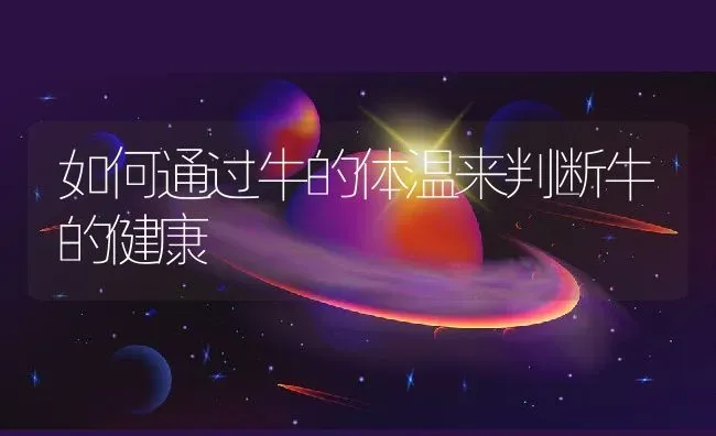 如何通过牛的体温来判断牛的健康 | 动物养殖百科