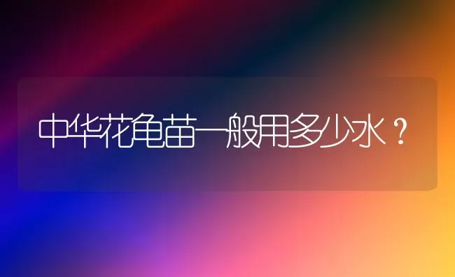 中华花龟苗一般用多少水？ | 动物养殖问答