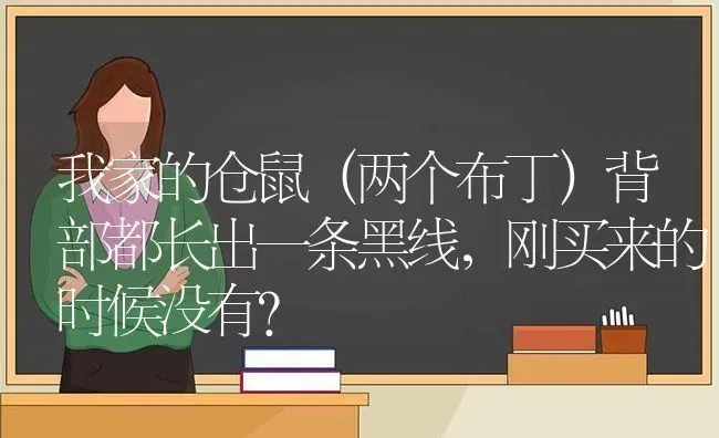 我家的仓鼠（两个布丁）背部都长出一条黑线，刚买来的时候没有？ | 动物养殖问答