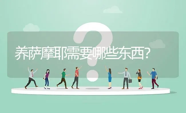 养萨摩耶需要哪些东西？ | 动物养殖问答