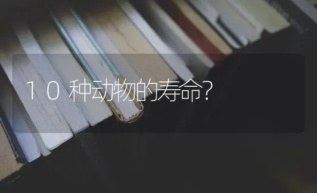 10种动物的寿命？ | 动物养殖问答