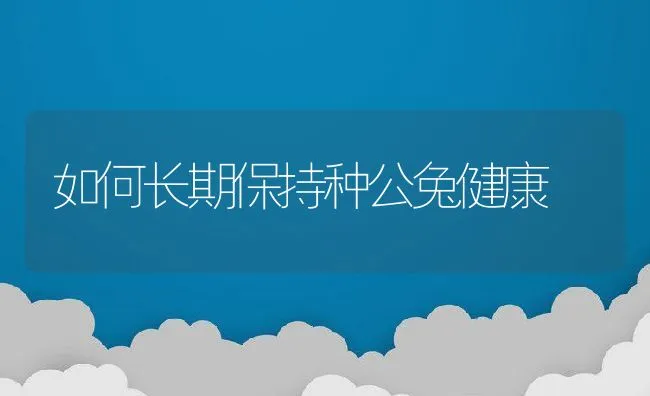 南美白对虾养殖疾病防治思路浅析 | 海水养殖技术