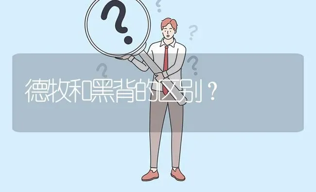 德牧和黑背的区别？ | 动物养殖问答