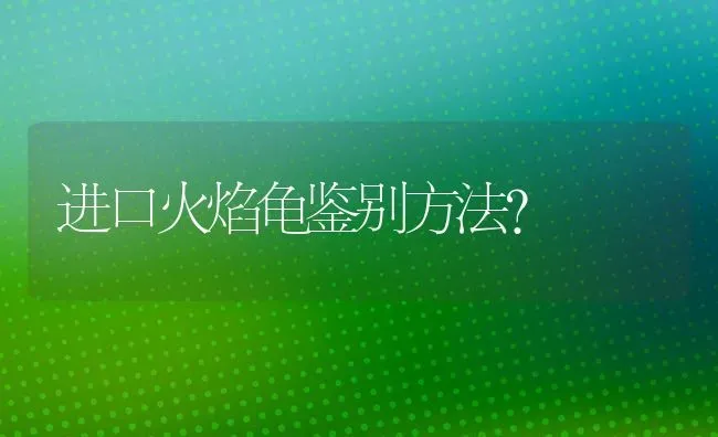 为什么猫会发出咕噜咕噜的声音？ | 动物养殖问答