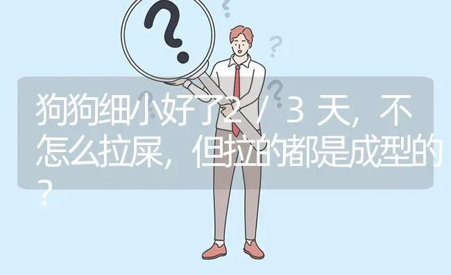 狗狗细小好了2/3天，不怎么拉屎，但拉的都是成型的？ | 动物养殖问答