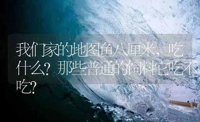 我们家的地图鱼八厘米，吃什么?那些普通的饲料它吃不吃？ | 鱼类宠物饲养