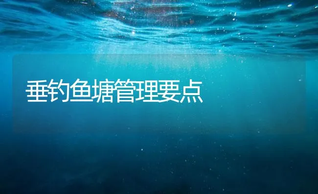 垂钓鱼塘管理要点 | 海水养殖技术