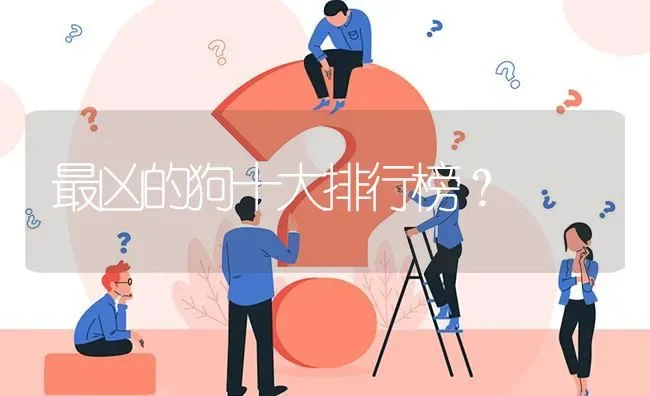 最凶的狗十大排行榜？ | 动物养殖问答