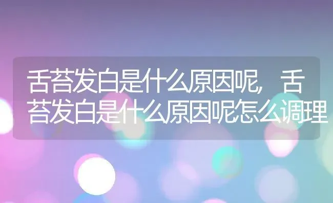 舌苔发白是什么原因呢,舌苔发白是什么原因呢怎么调理 | 宠物百科知识