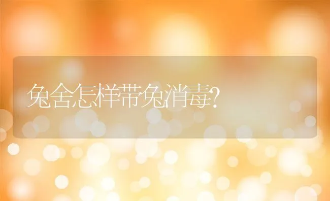 兔舍怎样带兔消毒？ | 动物养殖学堂