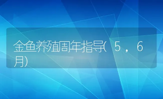 金鱼养殖周年指导(5,6月) | 动物养殖饲料