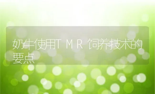 奶牛使用TMR饲养技术的要点 | 动物养殖教程