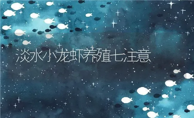 淡水小龙虾养殖七注意 | 动物养殖百科