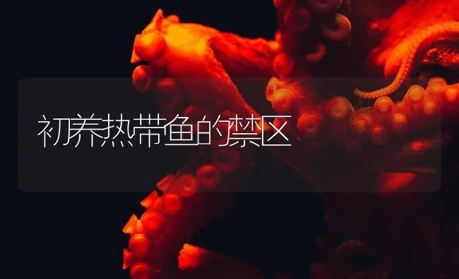 初养热带鱼的禁区 | 海水养殖技术