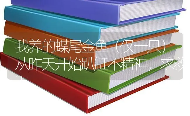 我养的蝶尾金鱼（仅一只）从昨天开始趴缸不精神，求救？ | 鱼类宠物饲养