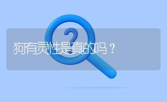 狗有灵性是真的吗？ | 动物养殖问答