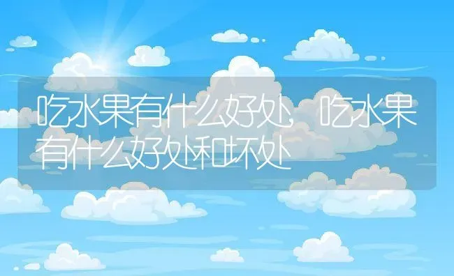 吃水果有什么好处,吃水果有什么好处和坏处 | 宠物百科知识