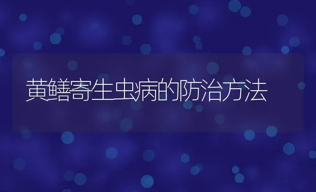 黄鳝寄生虫病的防治方法 | 动物养殖百科