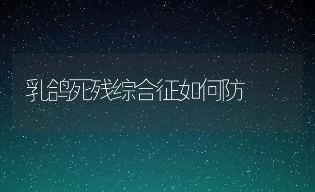 乳鸽死残综合征如何防 | 动物养殖饲料
