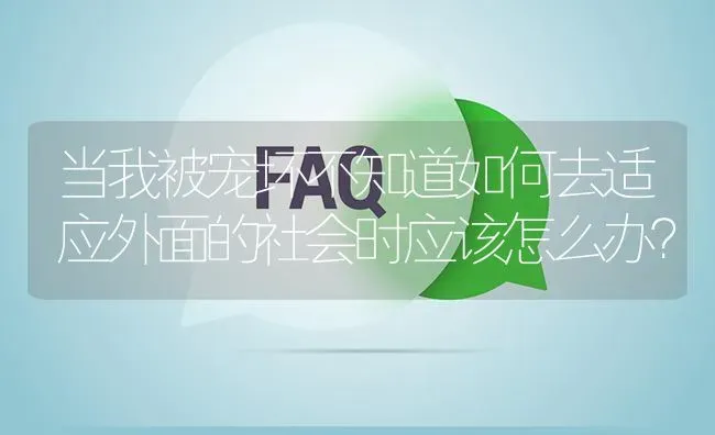 当我被宠坏不知道如何去适应外面的社会时应该怎么办？ | 动物养殖问答