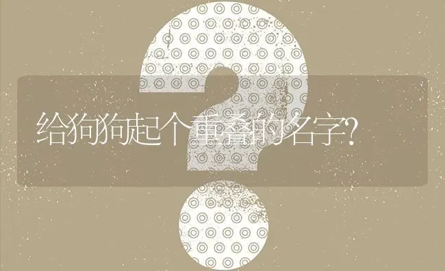 给狗狗起个重叠的名字？ | 动物养殖问答