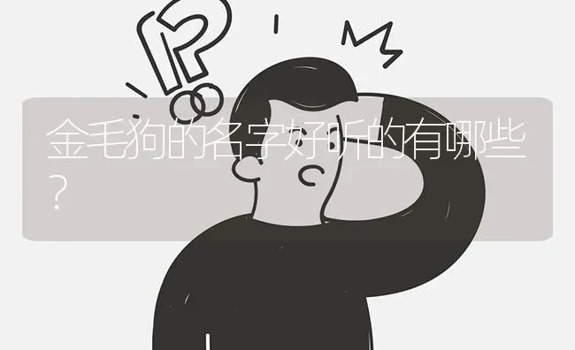 金毛狗的名字好听的有哪些？ | 动物养殖问答