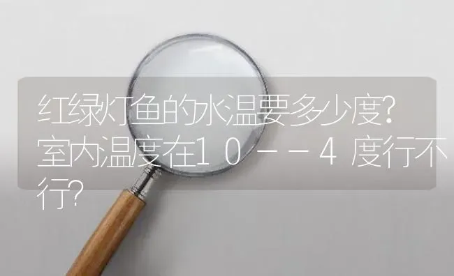 红绿灯鱼的水温要多少度?室内温度在10--4度行不行？ | 鱼类宠物饲养