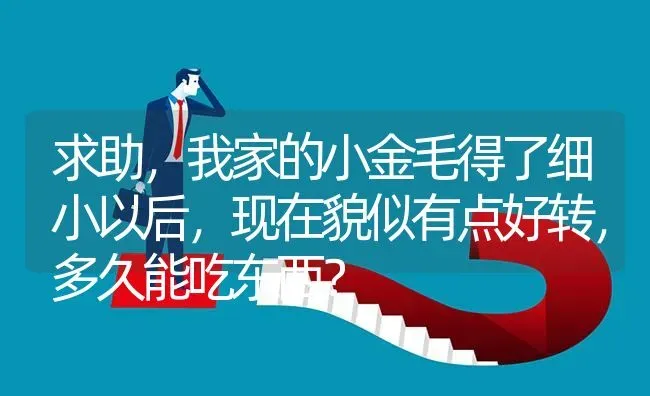 求助，我家的小金毛得了细小以后，现在貌似有点好转，多久能吃东西？ | 动物养殖问答