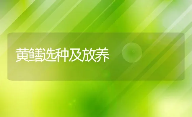 黄鳝选种及放养 | 动物养殖饲料