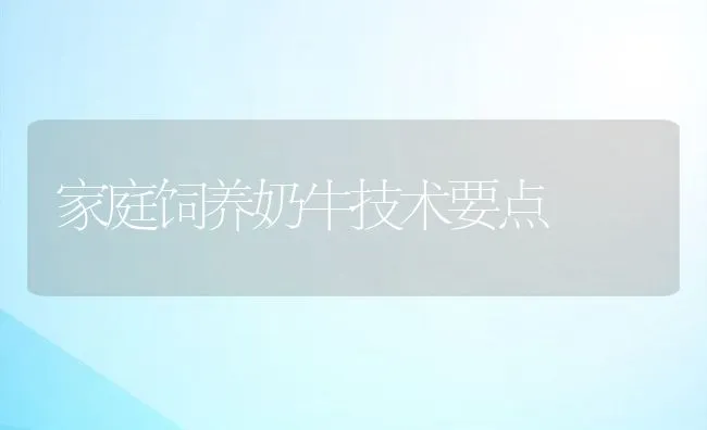 家庭饲养奶牛技术要点 | 动物养殖饲料