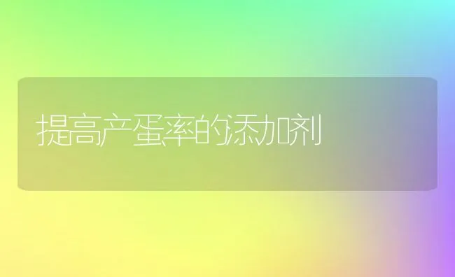 提高产蛋率的添加剂 | 动物养殖学堂