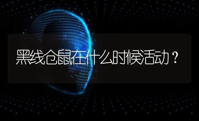 黑线仓鼠在什么时候活动？ | 动物养殖问答