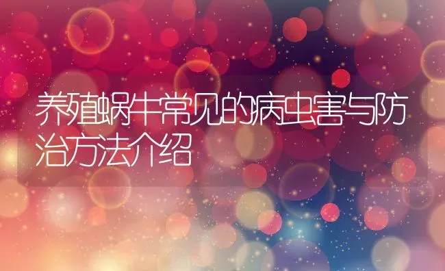 养殖蜗牛常见的病虫害与防治方法介绍 | 动物养殖百科