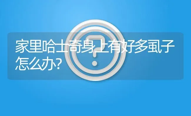 家里哈士奇身上有好多虱子怎么办？ | 动物养殖问答