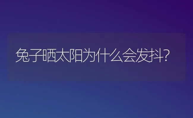 兔子晒太阳为什么会发抖？ | 动物养殖问答