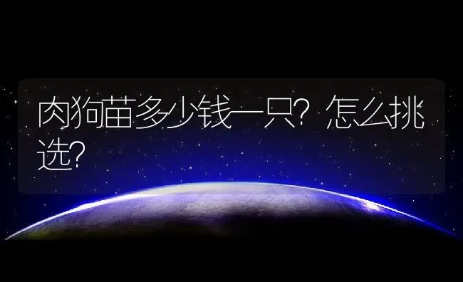 肉狗苗多少钱一只？怎么挑选？ | 动物养殖百科