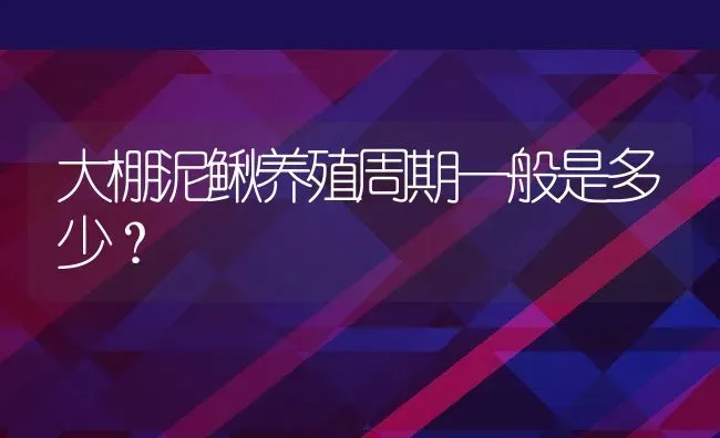 大棚泥鳅养殖周期一般是多少？ | 动物养殖百科