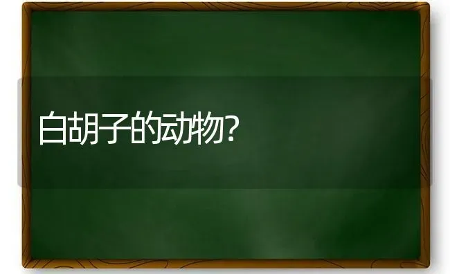 2个月蓝猫标准长相？ | 动物养殖问答